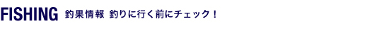 FISHING 釣果情報